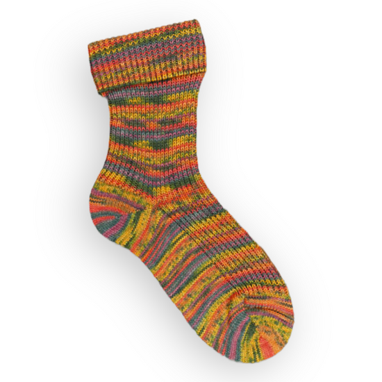 Opal Sock Yarn | Holidays Collection
