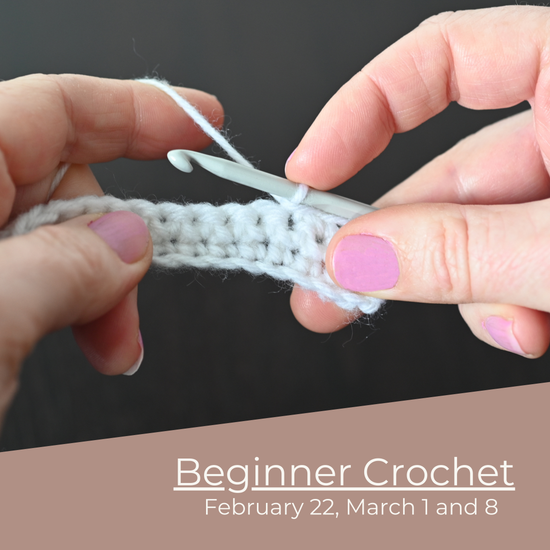 Beginner Crochet | February 22, March 1 and 8