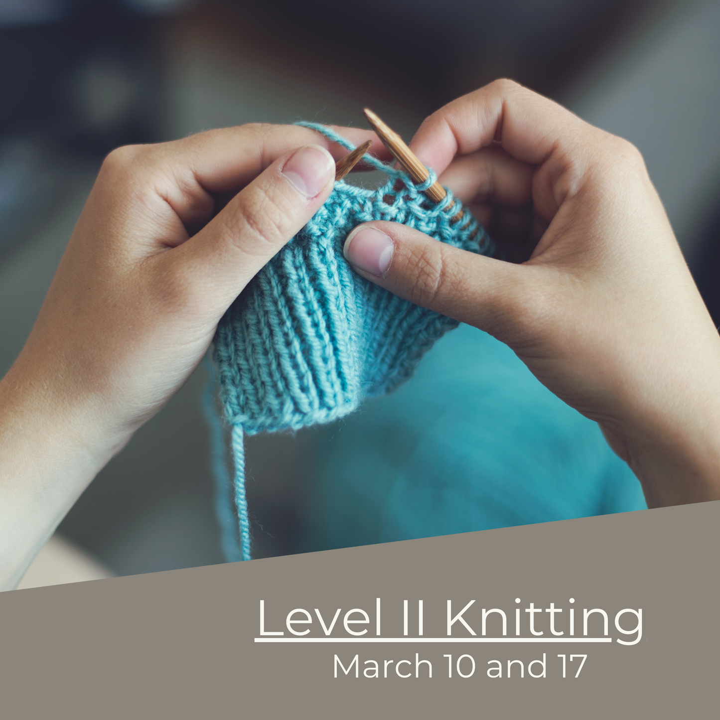 Level II Knitting | March 10 and 17